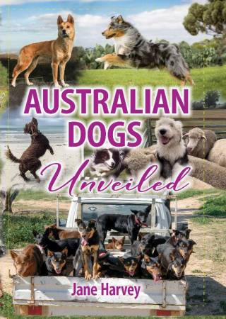 Australian Dogs Front Cover
