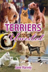 Terriers Unveiled