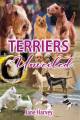 Terrier book Cover corrected May2021